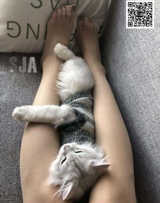 18禁禁禁久久精品乱码_1080P手机在线观看