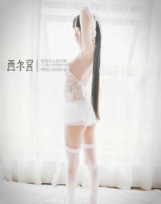 一区二区精品视频在线观看_1080免费在线观看